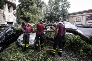 Vigili del fuoco a lavoro in via Monte Pertica dove per il maltempo un albero è caduto su di un auto in sosta. Roma 04 settembre 2015. ANSA/ANGELO CARCONI