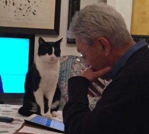 Bassolino e gatto