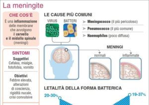 Meningite grafico