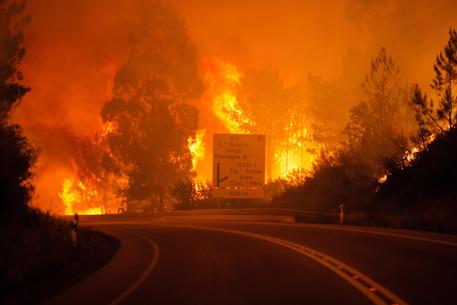 Forest fire in Pedrogao Grande