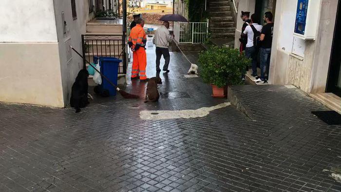 ++ 15enne ferita al volto con colpo pistola,uomo in fuga ++