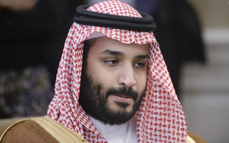 Saudi Arabian high-ranking royals give their support to new Crown Prince