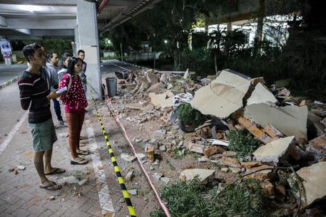 Indonesia terremoto