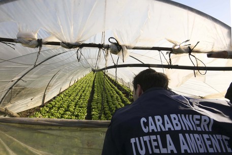 Irrigazione