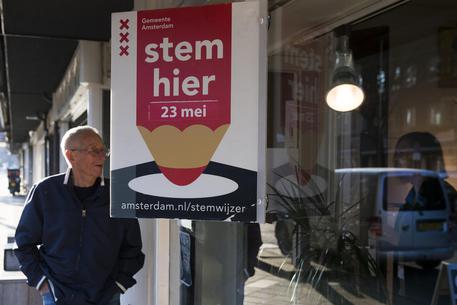 Netherlands European Elections