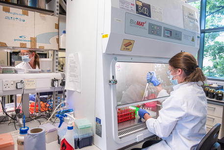 >>>/ IL VACCINO OXFORD-ASTRAZENECA HA UN’EFFICACIA DEL 90%
