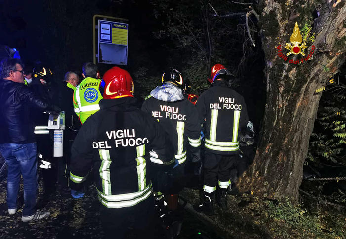 Auto contro platano, 3 ragazzi morti e uno ferito in Veneto